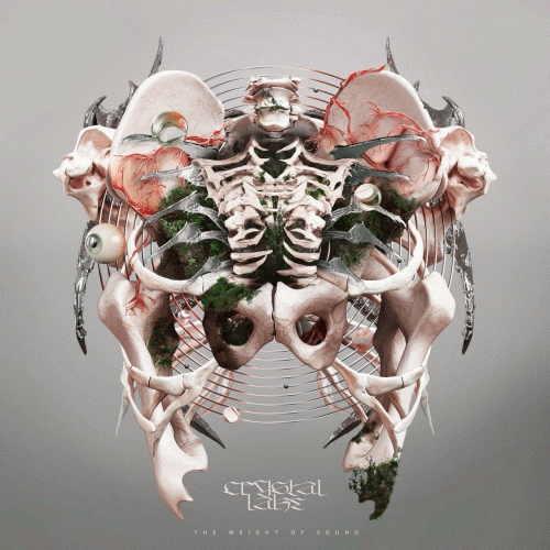 Crystal Lake (JAP) : The Weight of Sound